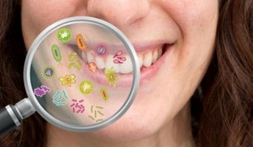 Foods That Kill Bacteria In The Mouth